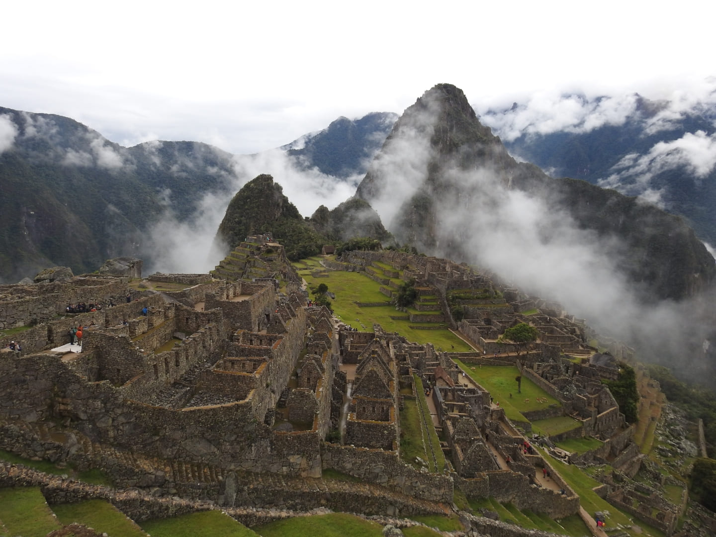 manu tours birding cusco