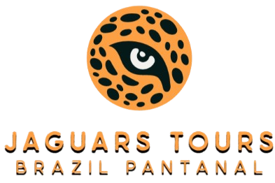 Brazil Birding Jaguars Tours